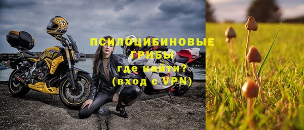 СК Армянск