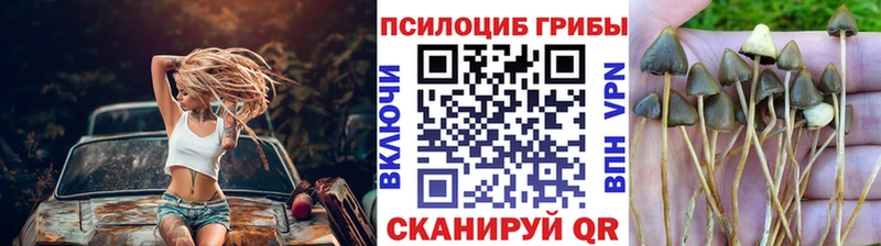 Галлюциногенные грибы Cubensis  Бежецк 